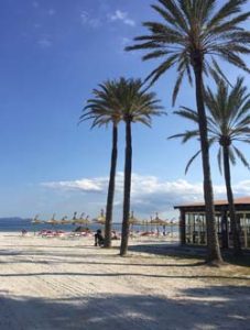 Alcudia Beach